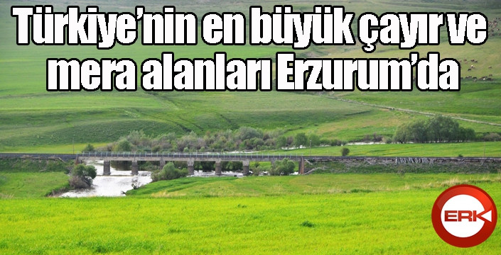 Türkiye’nin en büyük çayır ve mera alanları Erzurum’da