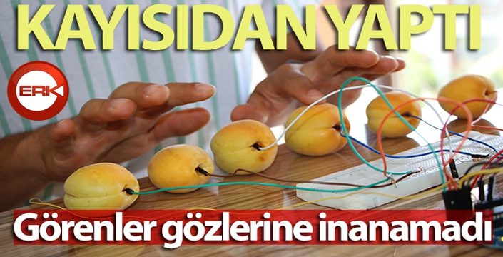 Tuşları kayısıdan olan piyano yaptı, görenler gözlerine inanamadı