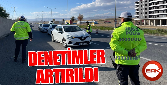 Uluslararası karayolunda trafik denetimleri hız kesmeden devam ediyor