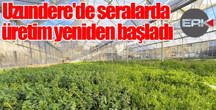 Uzundere'de seralarda üretim yeniden başladı