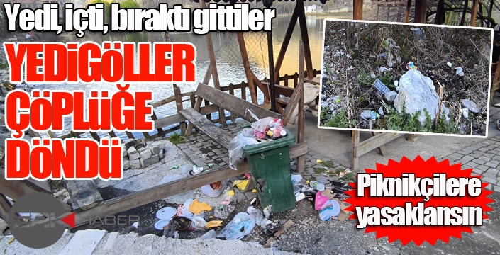Uzundere Yedigöller Mesire Alanı çöplüğe döndü