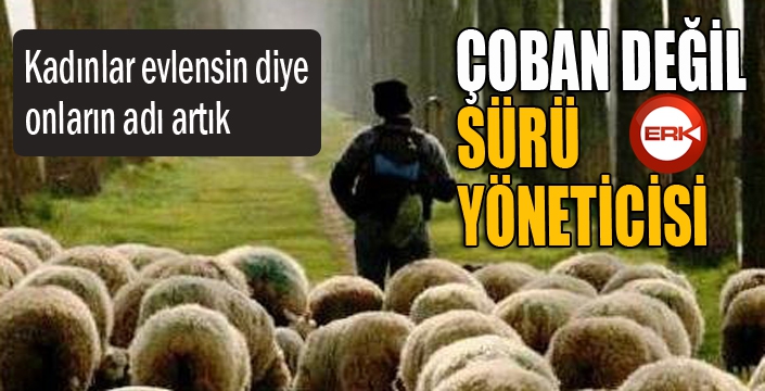 Vali Memiş: “Çoban değil, sürü yöneticisi”