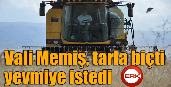 Vali Memiş, tarla biçti, yevmiye istedi 