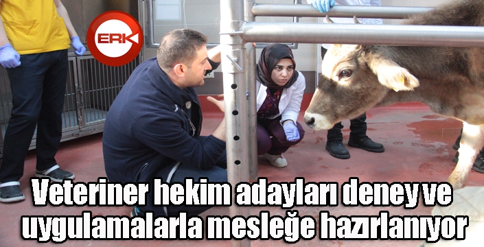 Veteriner hekim adayları deney ve uygulamalarla mesleğe hazırlanıyor