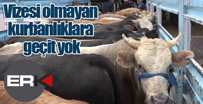 Vizesi olmayan kurbanlıklara geçit yok