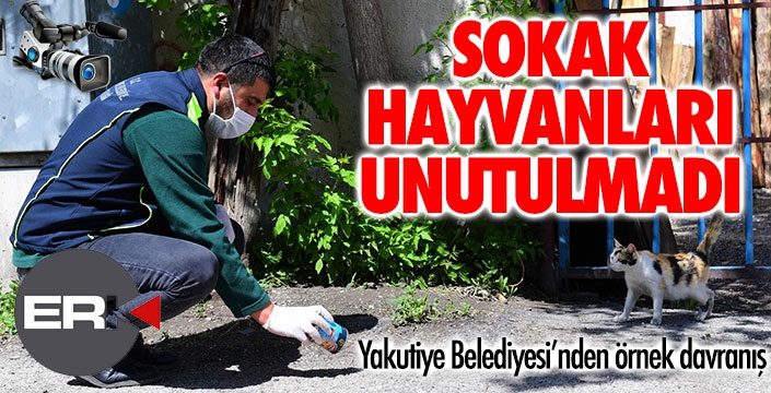 Yakutiye sokak hayvanlarını unutmadı... 