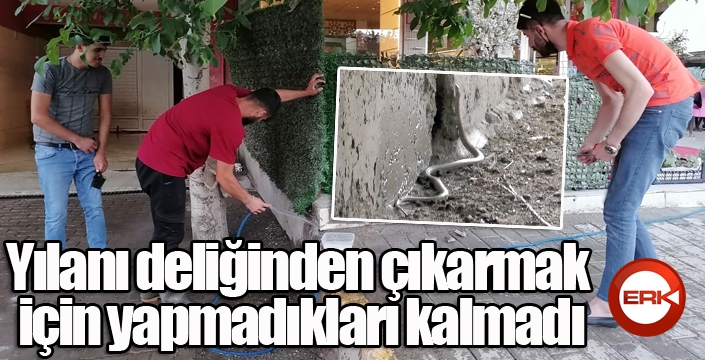 Yılanı deliğinden çıkarmak için yapmadıkları kalmadı