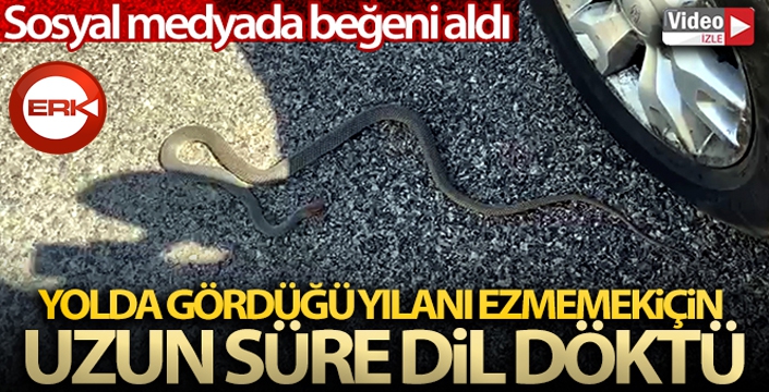 Yolda gördüğü yılanı ezmemek için uzun süre dil döktü