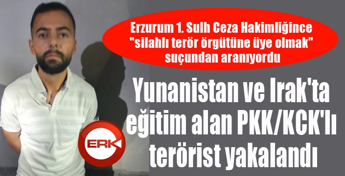 Yunanistan ve Irak'ta eğitim alan PKK/KCK'lı terörist